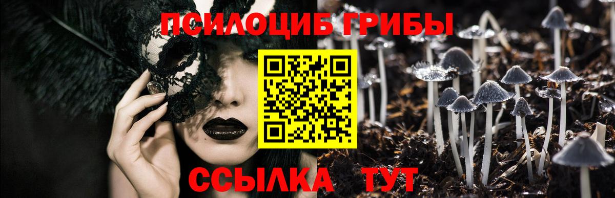 Псилоцибиновые грибы GOLDEN TEACHER Новодвинск